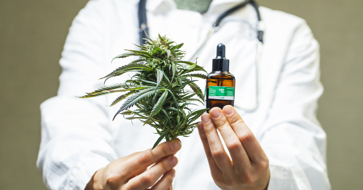 Adults: A doctor in a white lab coat with out stretched hands holding one cannabis leaf and another holding a bottle of oil