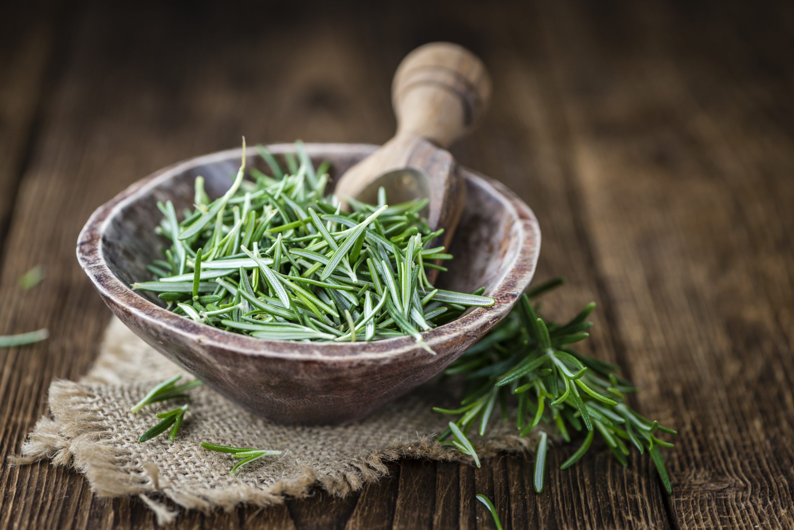 Terpenes: A bowl of rosemary containing the terpene pinene