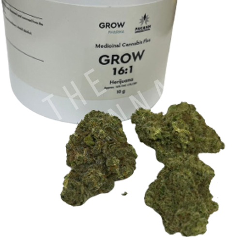 GROW 16.1 – HERIJUANA1-site1
