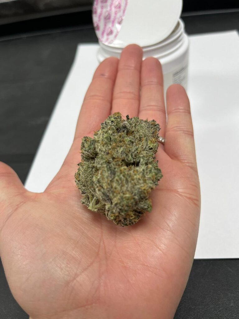 GROW 18.1 – GELATO4