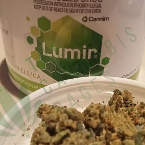 Lumir LL5.CA pot