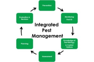 Fig1 IPM