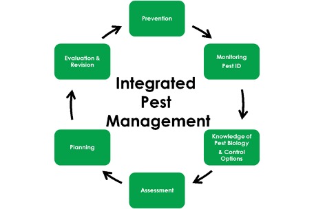 Fig1 IPM