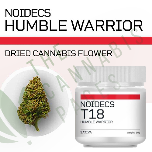 Noidecs T18 – Humble Warrior
