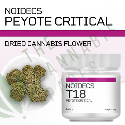noidecs t18 peyote critical