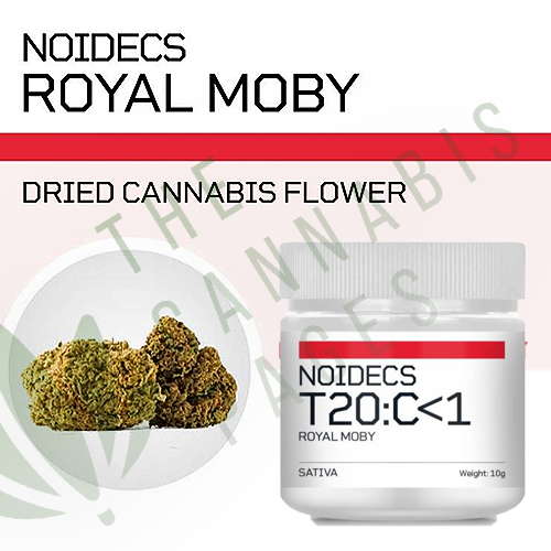 Noidecs T20:C1 – Royal Moby – Discontinued