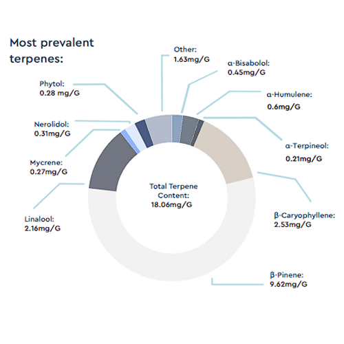 bnm 26-1 glitter bomb terps