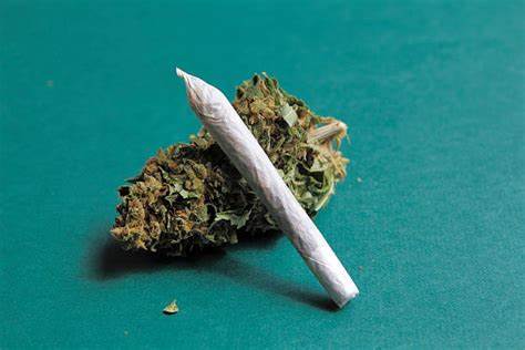 Cannabis joint 1