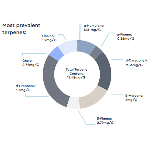 black cherry punch – terps