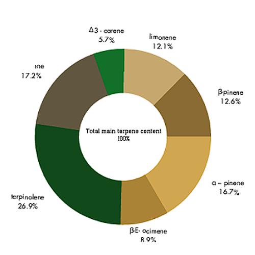 amnesia terpenes