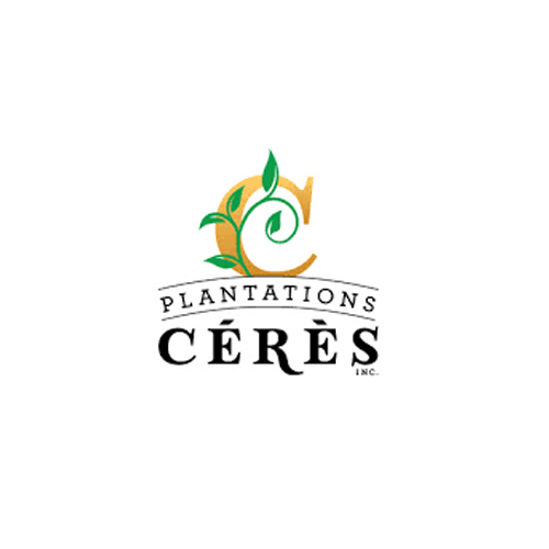 Plantations Cérès – Cérès No.2 – Slurricane Mint – 20/1