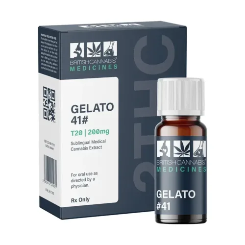 gelato 41 t20