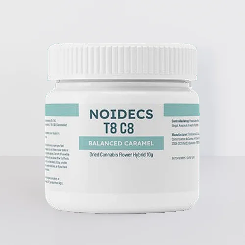 Noidecs T8C8 – Balanced Caramel