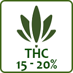 THC (15-20%)