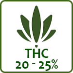 THC (20-25%)