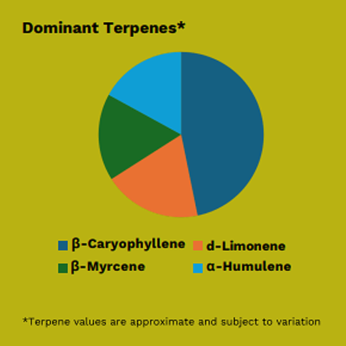 GMO terpenes