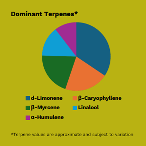 SCP terpenes