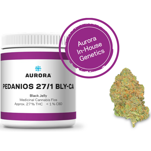 Aurora 27/1 – Black Jelly – 10g