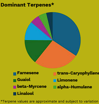 chemnesia haze terps
