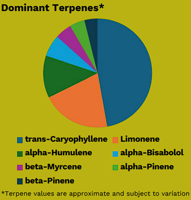 goldberry terps