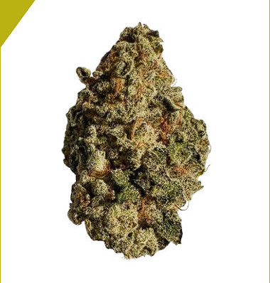 platinum garlic flower