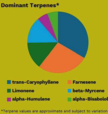 platinum garlic terps