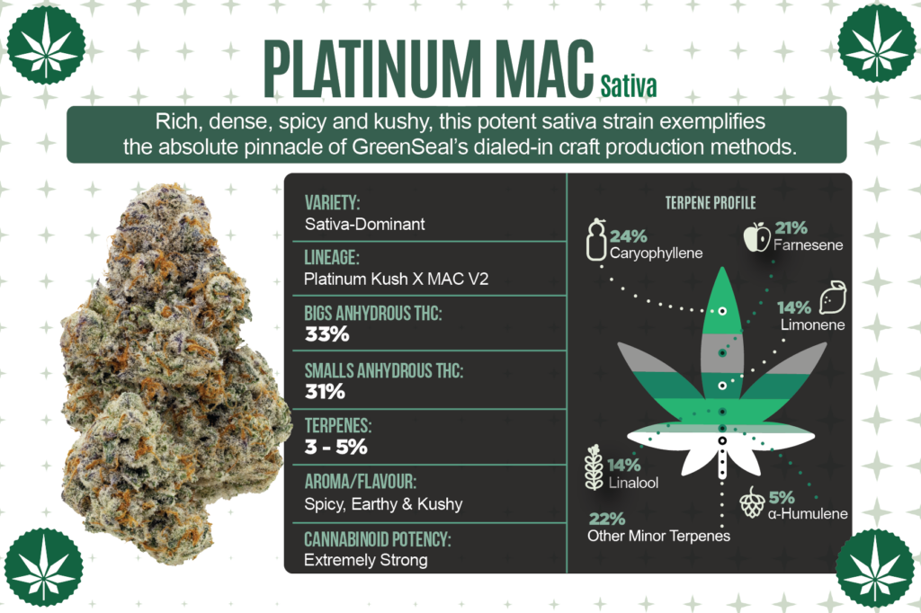 GSUK_StrainCard_PlatinumMAC FRONT V2@4x (1)