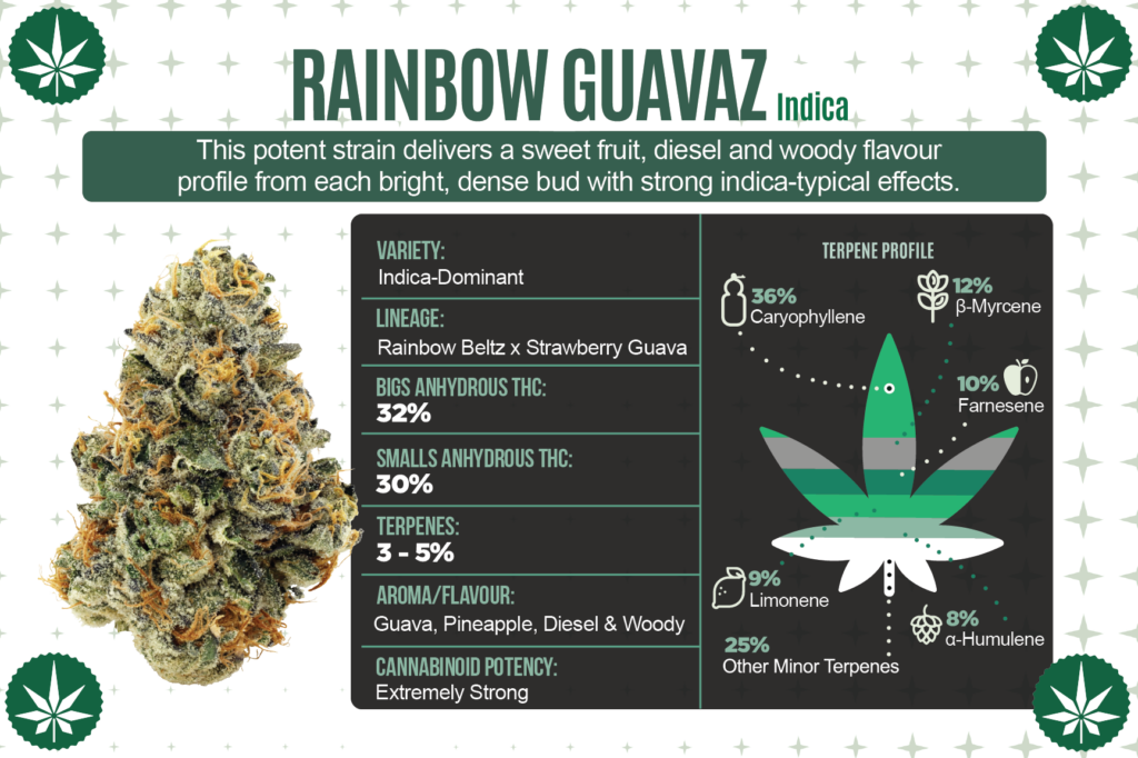 GSUK_StrainCard_RainbowGuavaz FRONT V3@4x